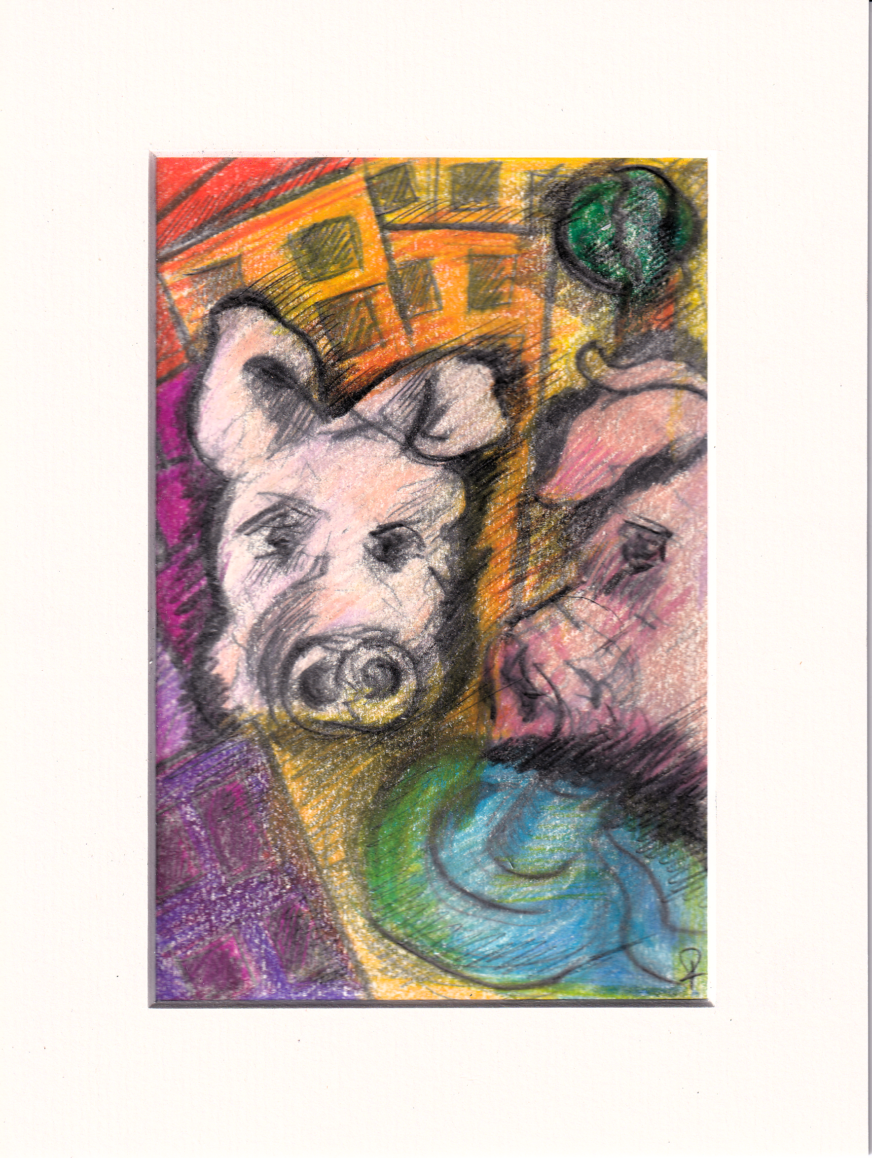 Pig 20241207