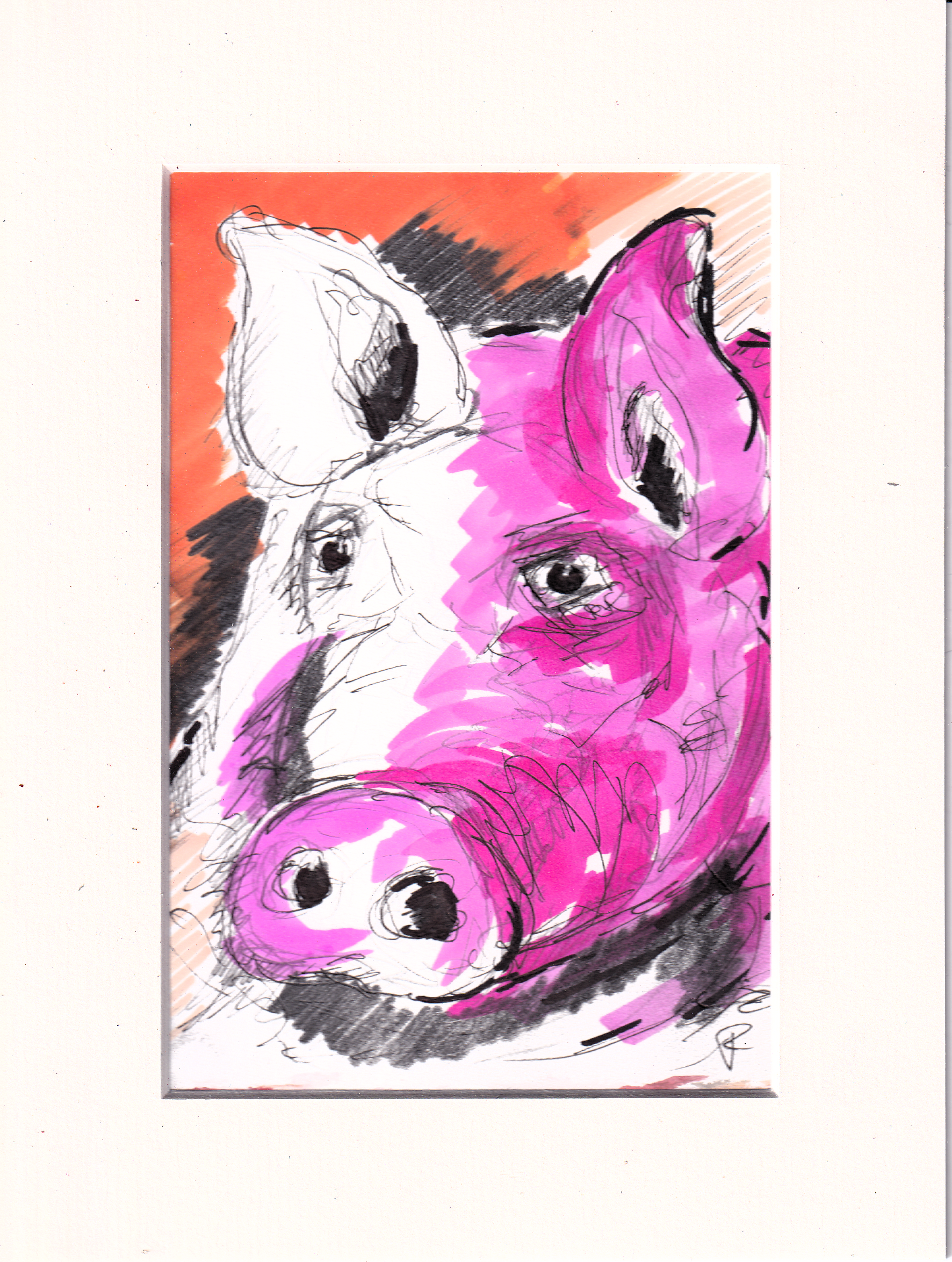 A Pic of a Pig
