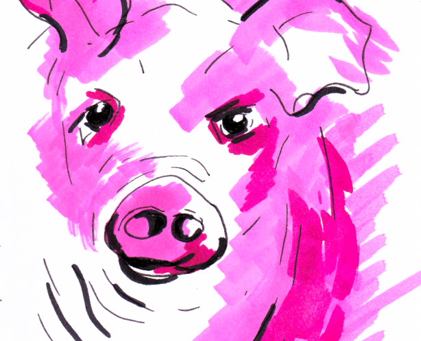 Schweinelogo