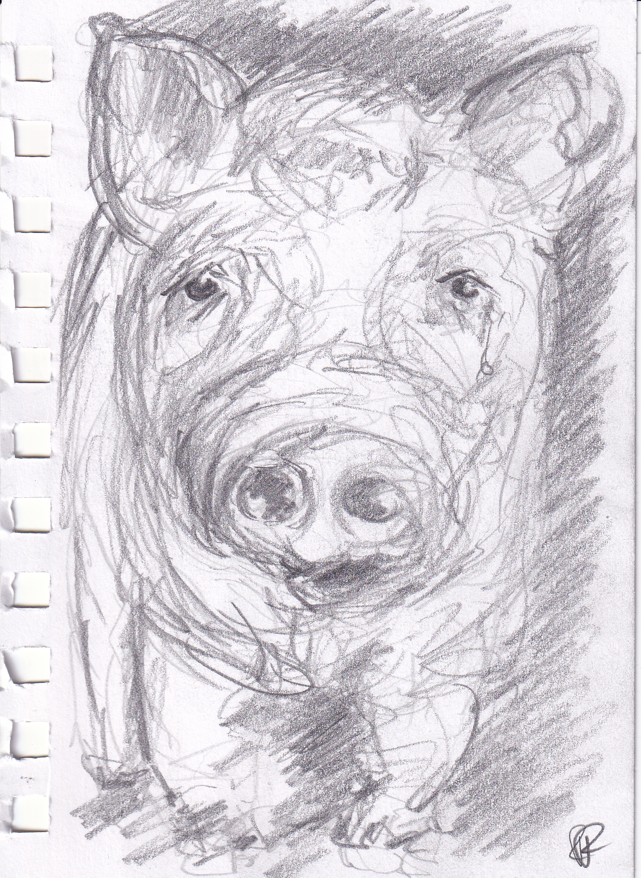 The Pig That Dreamed in Pencil