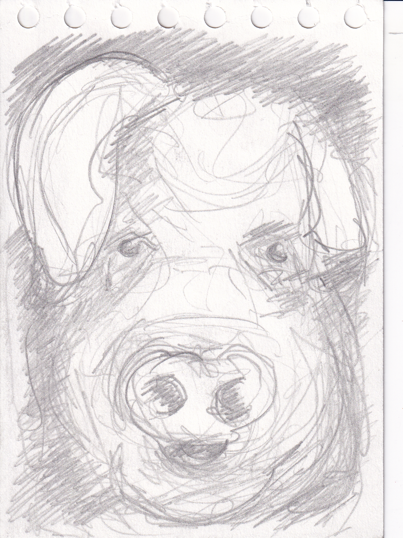 The Gentle Geometry of Oink