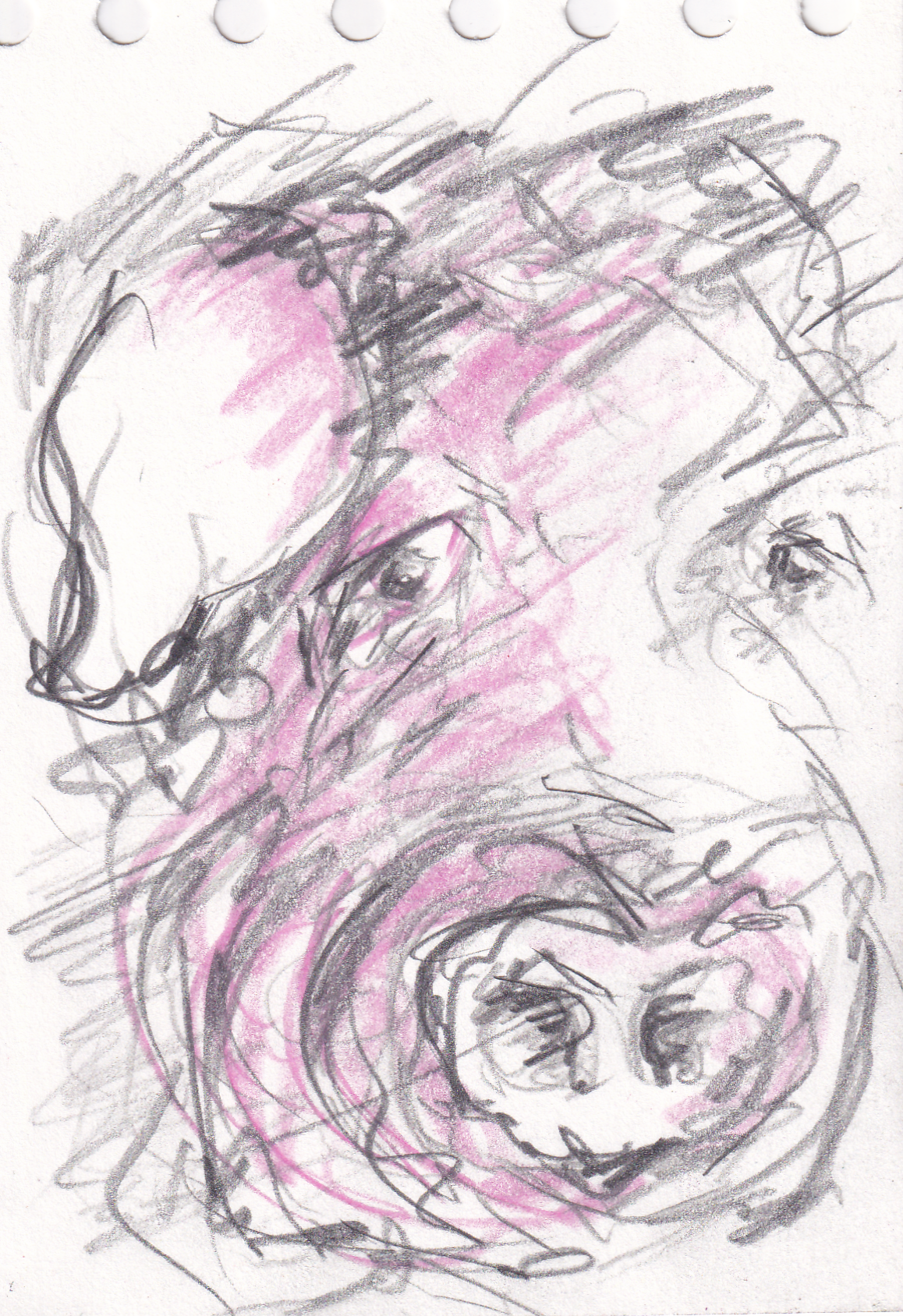 The Pink Whisper of Pencil Time