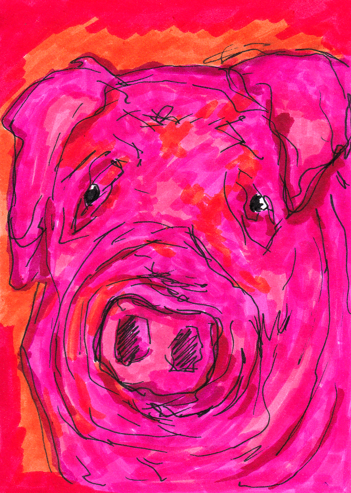 Neon Genesis Oink