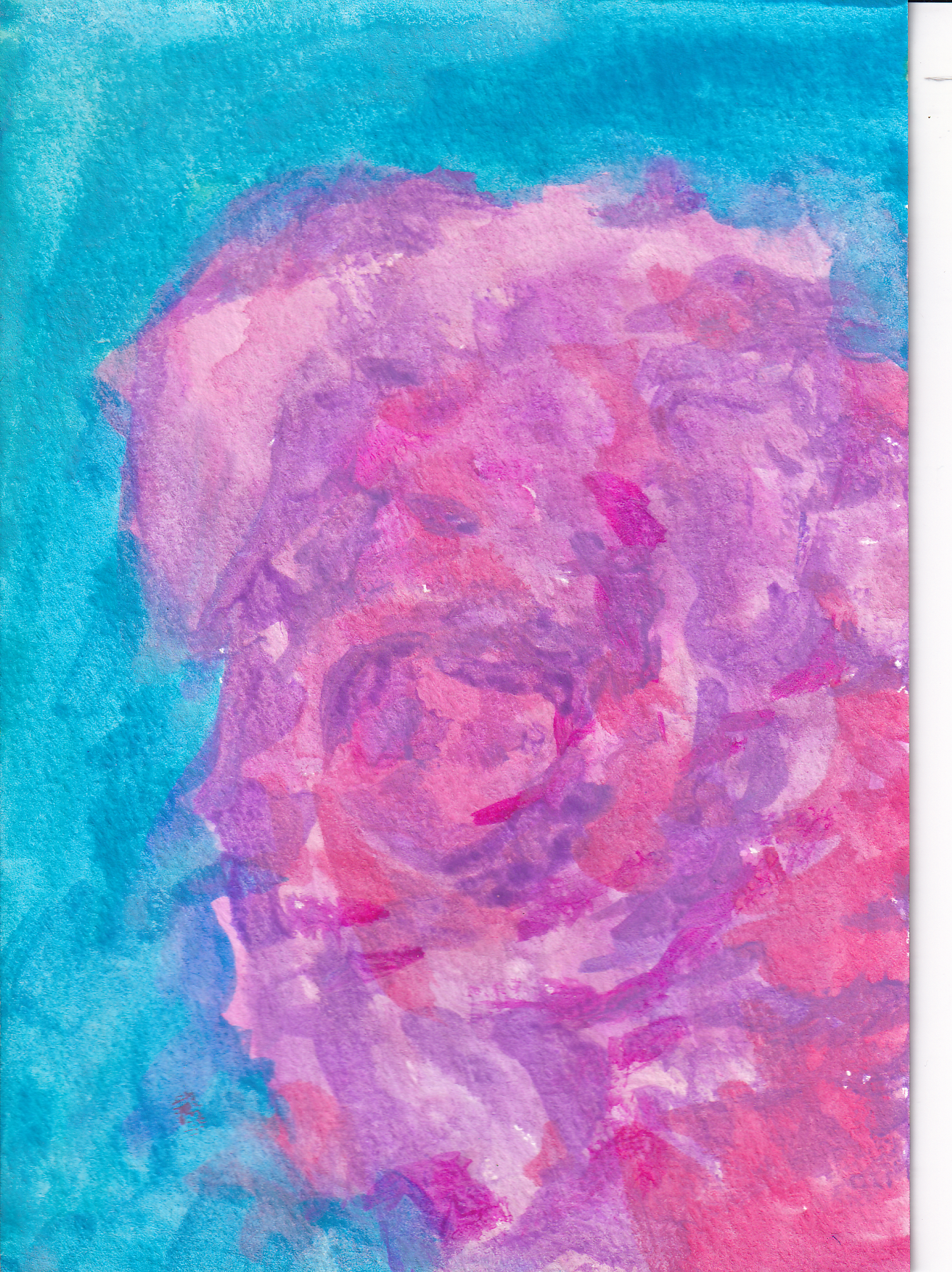 Rosa Wolke denkt sich selbst (ein Pigture ohne Kontur)