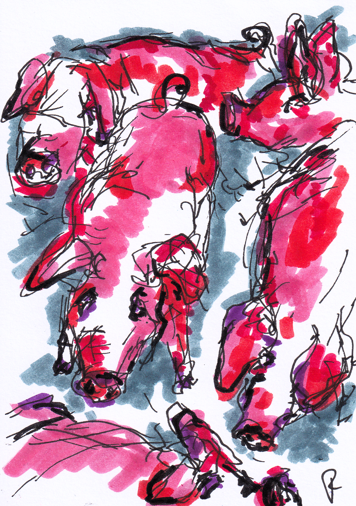 Velvet Rausch of the Pigture