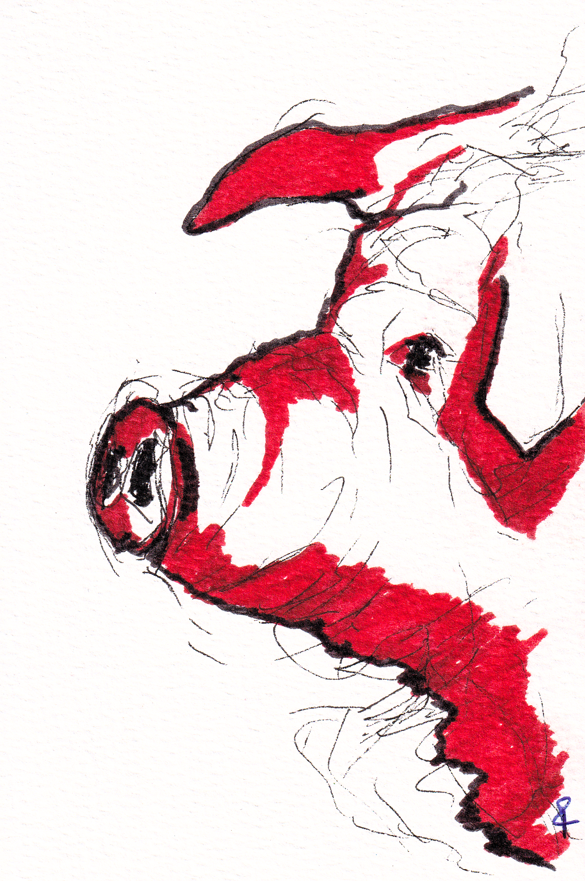 Karminrote Schnauzen-Sonate