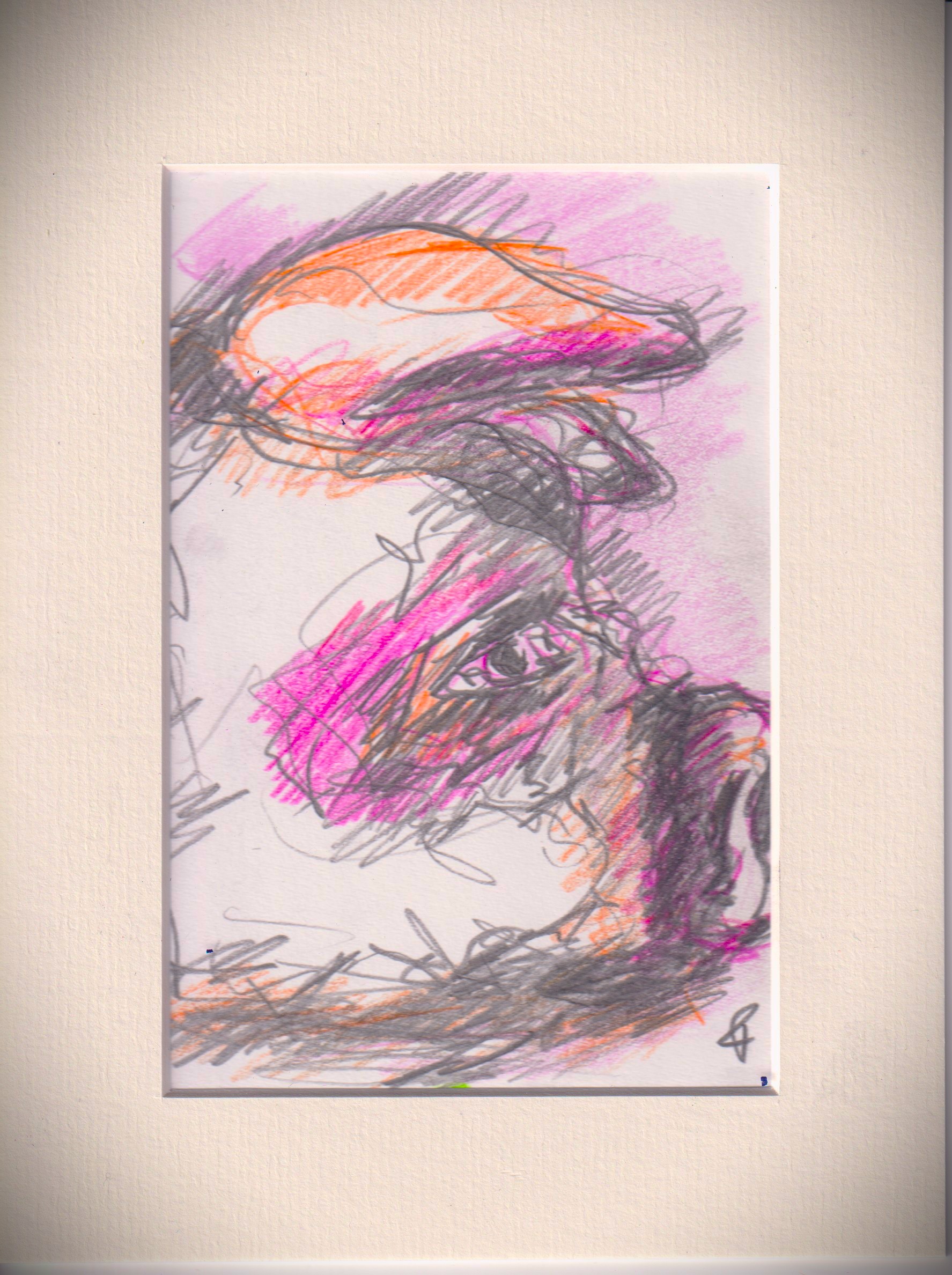 Field Notes from the Neon Snout