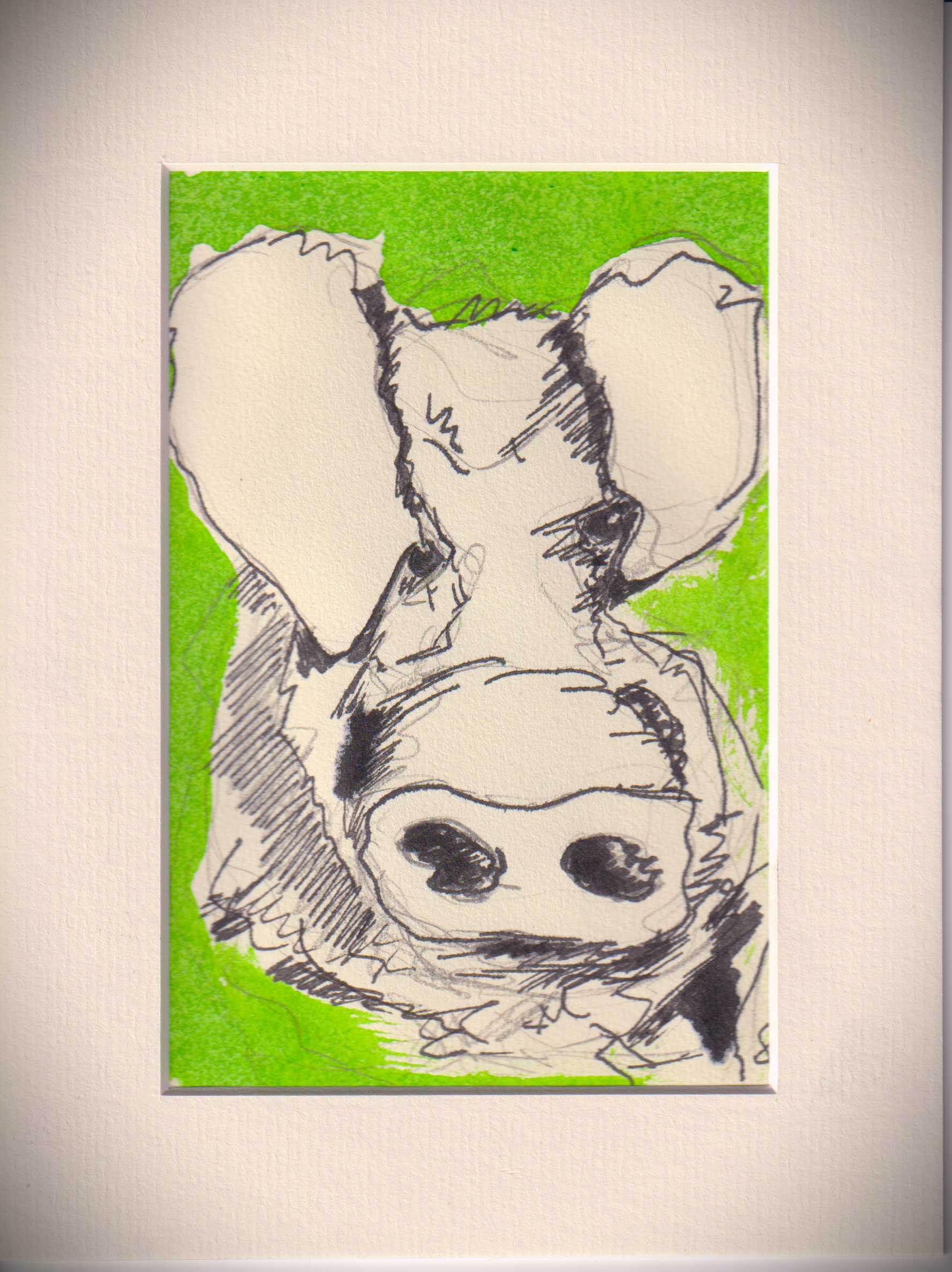 Green Silence Manifesto (Dada Pig No. 7)